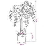 Cserepes fehér műorchidea 75 cm 3