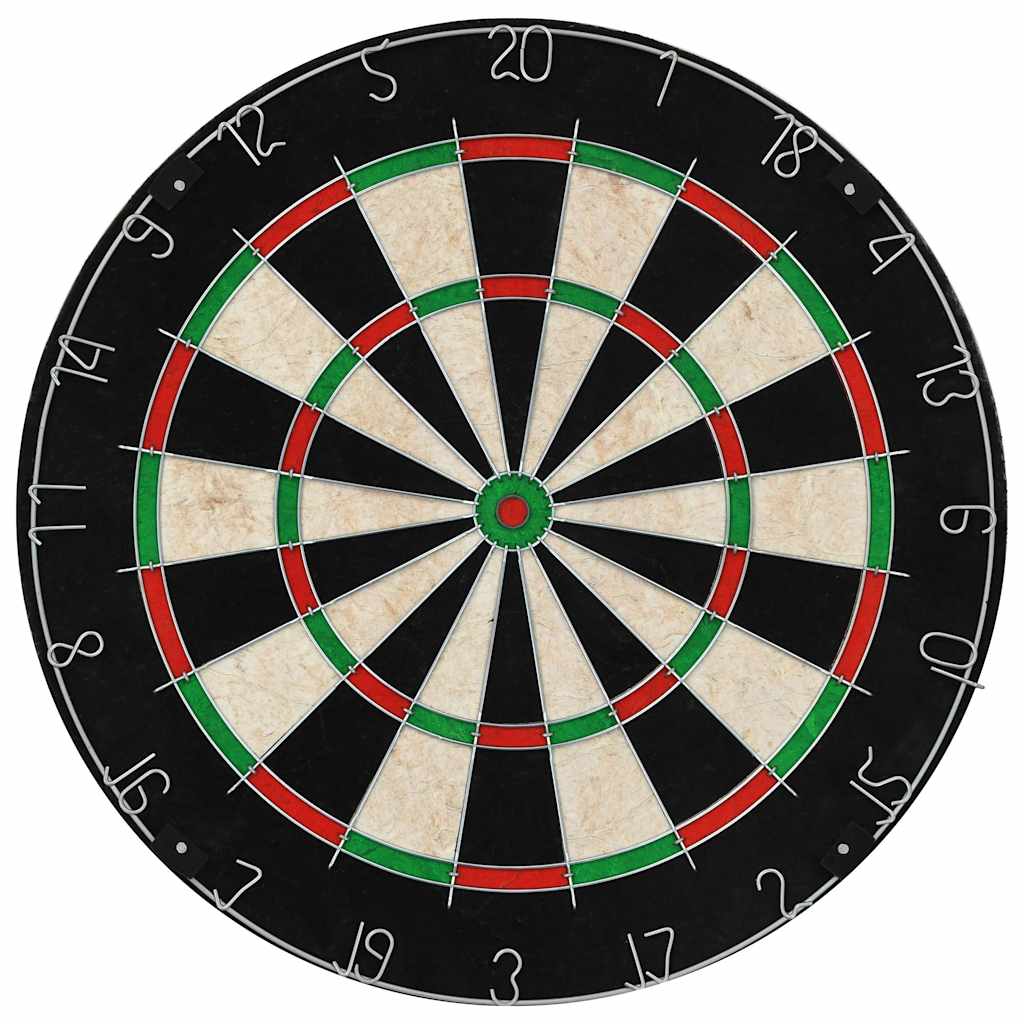 Szizál professzionális darts tábla 6 nyíllal és tábla védővel 4