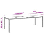 Fekete polyrattan és edzett üveg kerti asztal 250 x 100 x 75 cm 5