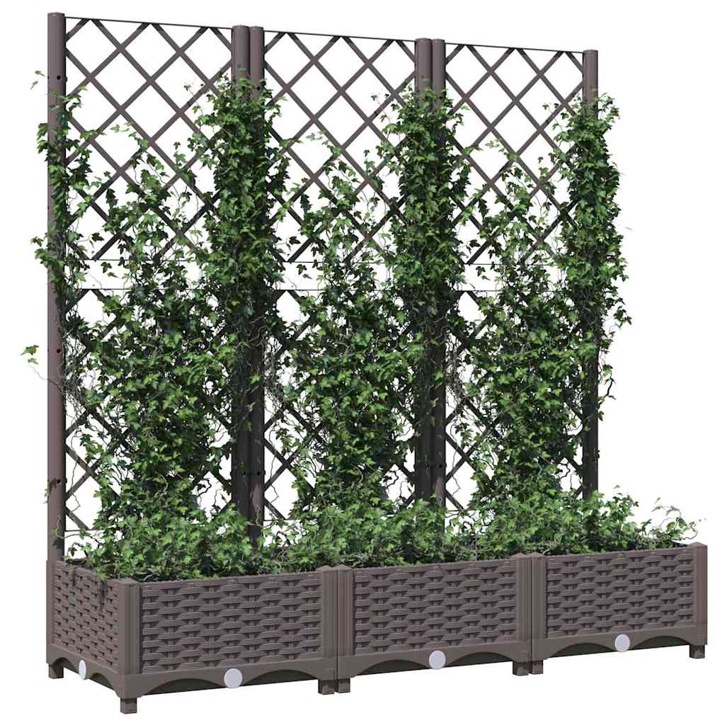 Barna PP kerti virágláda ráccsal 120 x 40 x 121,5 cm 3