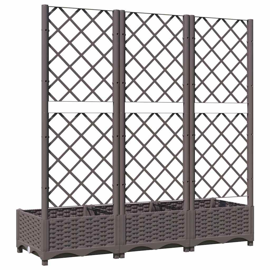 Barna PP kerti virágláda ráccsal 120 x 40 x 121,5 cm 6