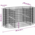Horganyzott vas gabion magaságyás 200x100x100 cm 8