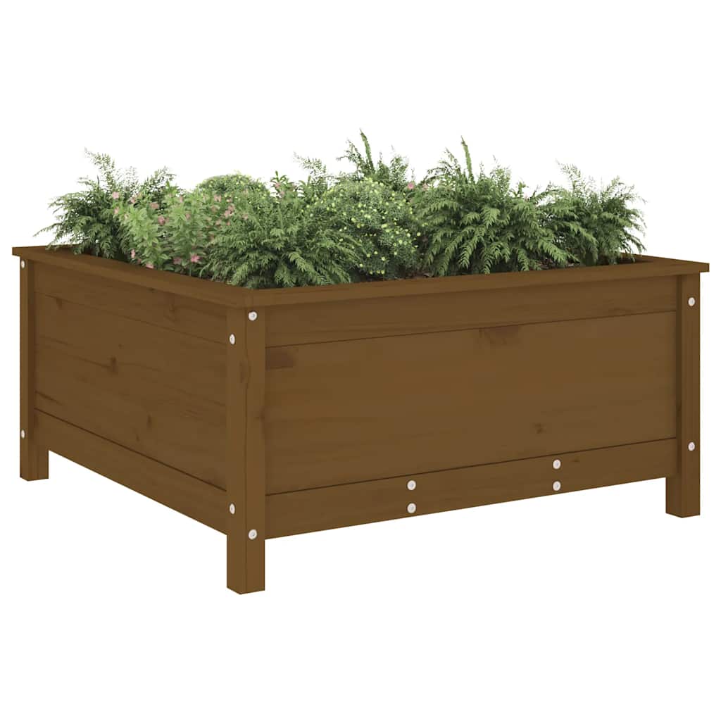 Mézbarna tömör fenyőfa növénytartó 82,5x82,5x39 cm 3