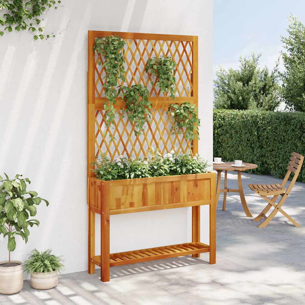 Tömör akácfa rácsos ültetőláda polccal 100 x 32 x 185 cm 3