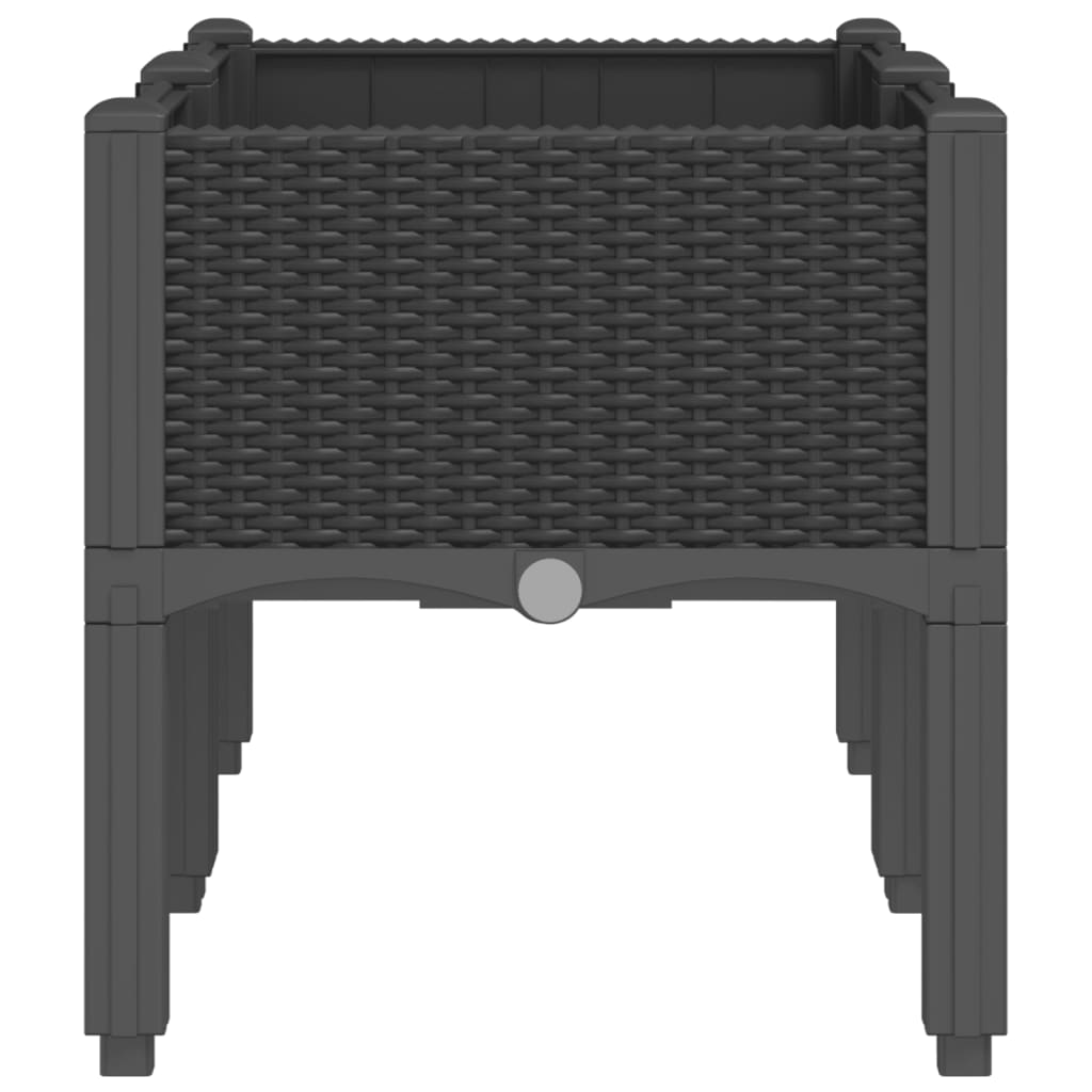 Fekete PP rácsos kerti ültetőláda 80 x 40 x 42 cm 4