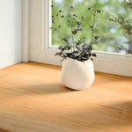 Ablakpárkányok 2 db világosbarna 90x40x2 cm tömör fa tölgyfa 3