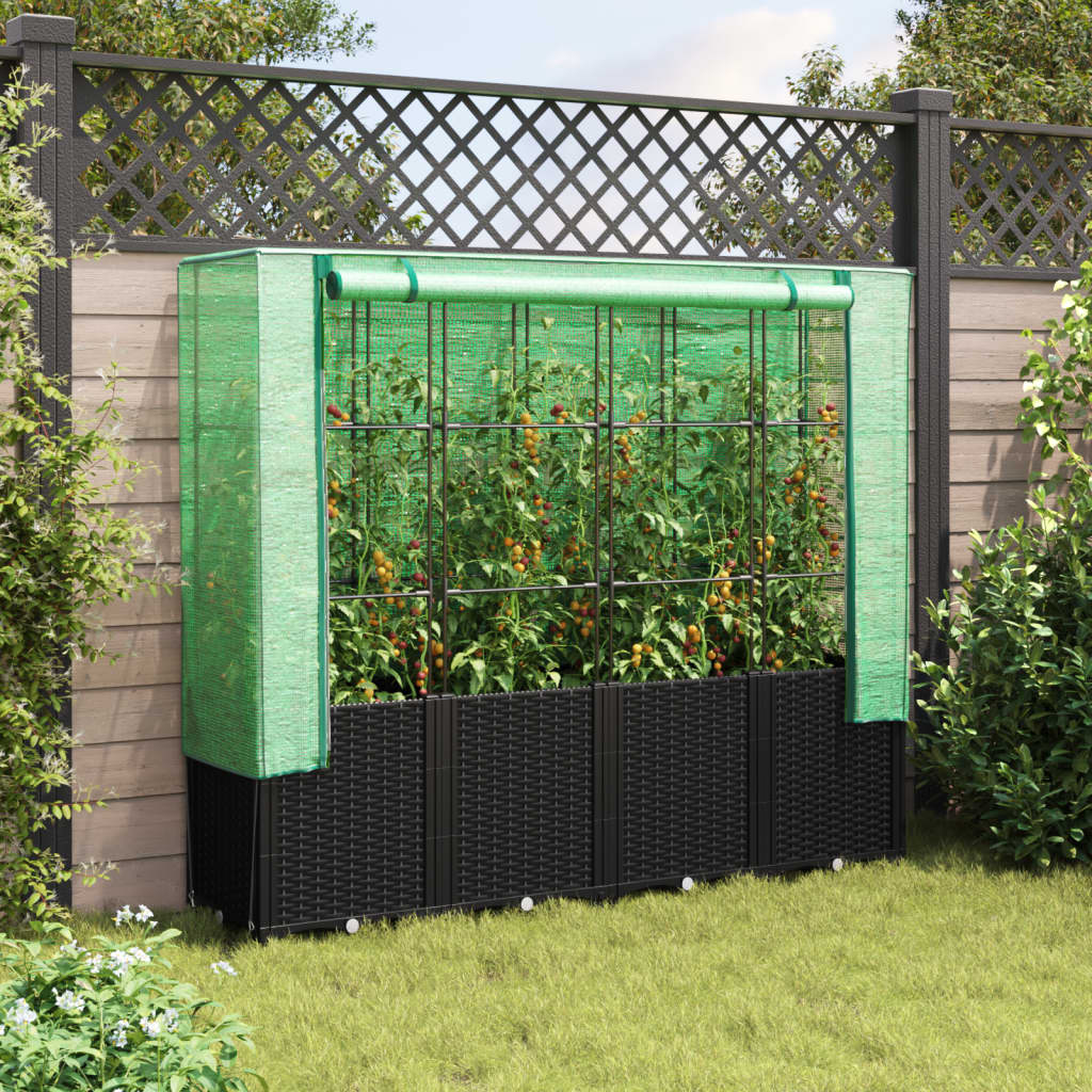 Rattan hatású magaságyás üvegháztakaróval 160 x 40 x 153 cm 3