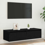 TV szekrény LED világítással fekete tölgy 100X35,5x25 cm 4