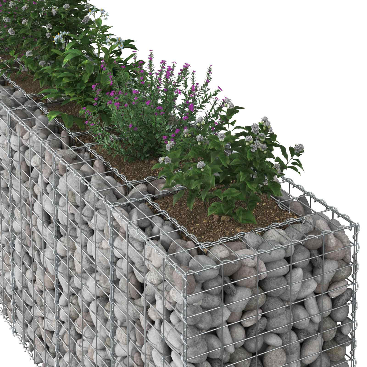 Gabion emelt ágy 2 db 250 x 50 x 80 cm Horganyzott Acél Ezüst 4