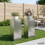Növényállvány 2 pcs Ezüst 40 x 40 x 100 cm Rozsdamentes Acél