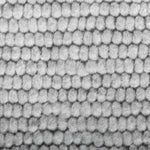 Szőnyeg Szürke 50 x 300 cm 100% poliészter 3 mm 5