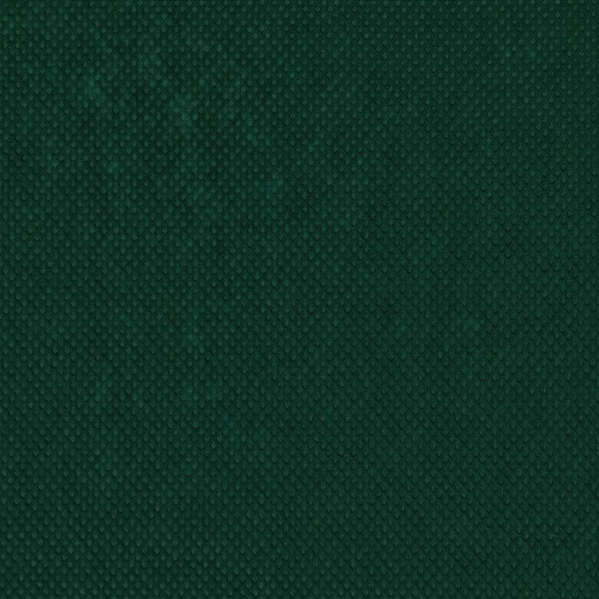 Fagy Elleni Növény Flíz 50 gsm 10 x 3,2 m Nemes szövet Zöld 10