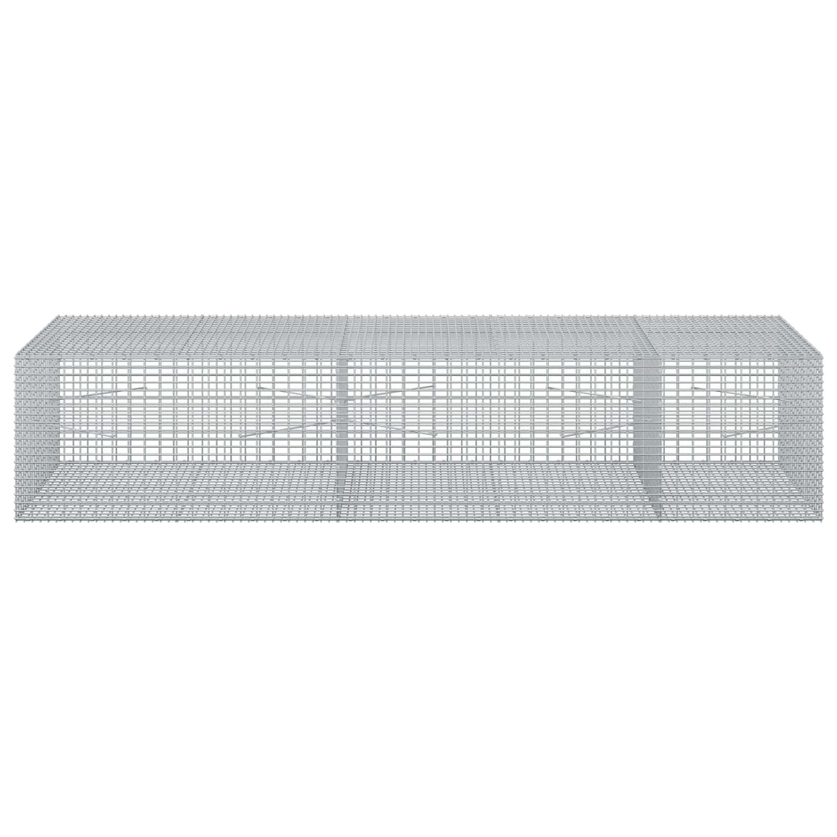 Gabion 3,5 mm-es dróttal és 5x2,5 cm-es hálóval 250x100x50 cm 3